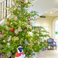 ソンブルイユ TOKYO - 