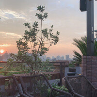 BLUE BIRDS ROOF TOP TERRACE - 