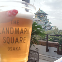 BLUE BIRDS ROOF TOP TERRACE - 