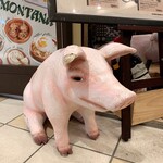 LA BODEGA PARRILLA - お店の前にいた豚ちゃん