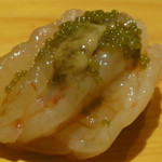 鮨匠なか川 - しま海老別角度