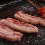 ecoてじまぅる - 