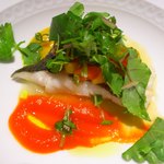 アルトゥーラ - 