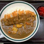 ときわ食堂 - チキンカツカレー