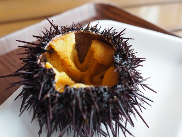 片倉商店 ハマテラス店 - 女川（その他）の写真