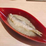 鮨 浩也 - 琵琶湖の稚鮎