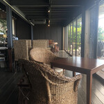 チャハヤブラン - 