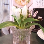 中国レストラン 雪園 - 