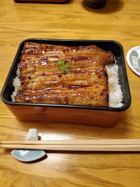 志んぼ しんぼ 琴似 札幌市営 うなぎ 食べログ 志んぼ しんぼ 琴似 札幌市営 うなぎ 食べログ