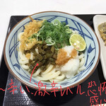 丸亀製麺 - 青唐おろし醤油[並] 490円