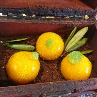 しまなみふれんち Murakami - 