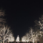 ガストロノミー ジョエル・ロブション - 