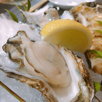 龍のかくれんぼ - 