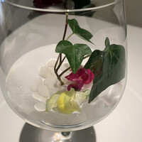 フレンチ割烹 宿 - 