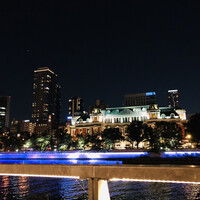 スミレオオサカ - 