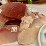 Ajigoyomi Miyata - ホタテ、鯛、カンパチ、マグロの刺身