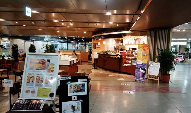 CAFE de CRIE T-Cat Ten photo 4