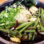 こがね製麺所 - 山菜おろしぶっかけうどん冷小４２０円わかめ、ねぎトッピング