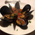 ristorante ANDREA - 