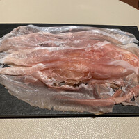 スガラボヴィー - 