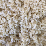 松本メーヤウ - 