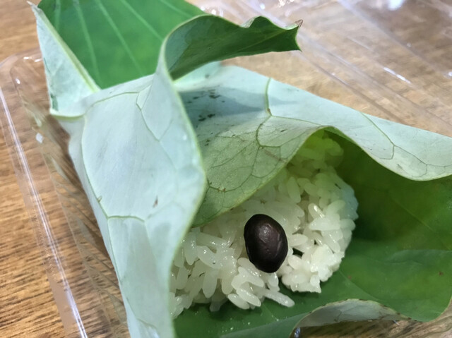 Nakayama Kaho photo 3