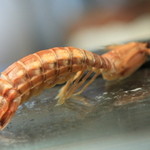 ほうらい - シャコ