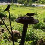 くつきそば 永昌庵 - 