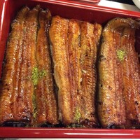 割烹 蒲焼 大沼 - 