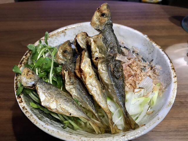 秋田熊さん麺ショップ - 泉外旭川（麺類）の写真