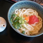 手打ちうどん　古奈門 - めんたい釜玉