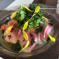 トラットリア イル レガーロ -  トラットリア イル レガーロ -