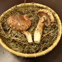 とらふぐ専門 ふぐ中俣 - 時に長野の松茸♪