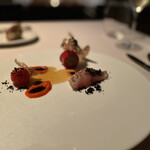 アルカナイズ - 