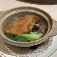 中国飯店 三田店 - メインに要予約
                    スッポンと鱶鰭の煮込み　スープが秀逸
                    相当に美味でした