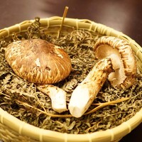 とらふぐ専門 ふぐ中俣 - 長野県産の松茸