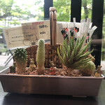 ザ・テラス・サクマ - 