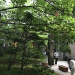 Italian Ryori Lucchicore