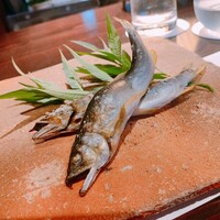 たでの葉 - 