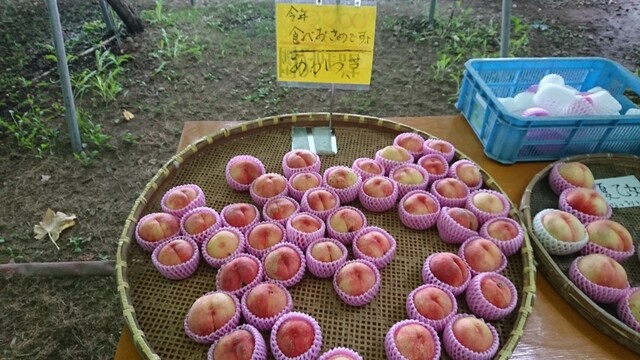 がぶりガーデン - 会津本郷（その他）の写真