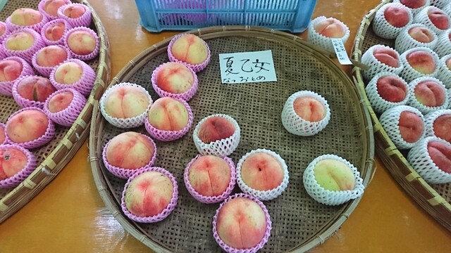 がぶりガーデン - 会津本郷（その他）の写真