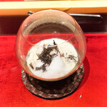 エクアトゥール - 