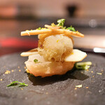 エクアトゥール - 