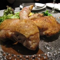 オッジ ダルマット 西麻布店 - 