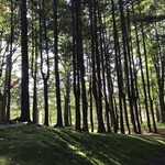 中国料理 翆陽 - 