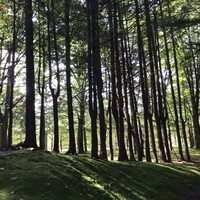 中国料理 翆陽 - 