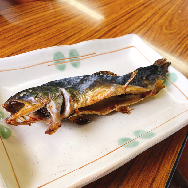 峠のイワナ屋 一関市その他 郷土料理 その他 食べログ