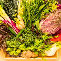 【季節の葉野菜サラダ　自家製牛蒡ドレッシング】