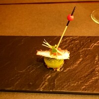 CANNA - 