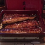 Unagi shige - 